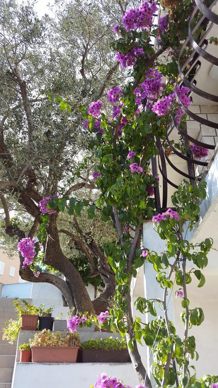 Barada Apartament *