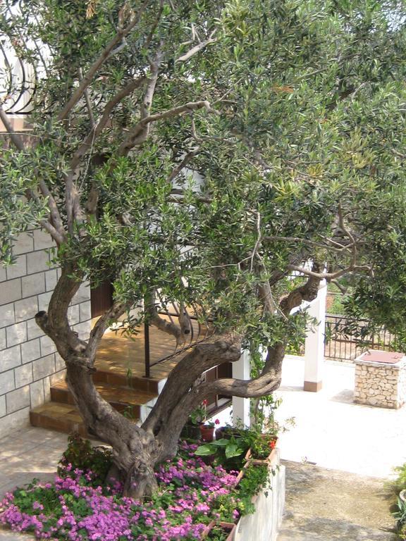 Apartament Barada Seget Vranjica