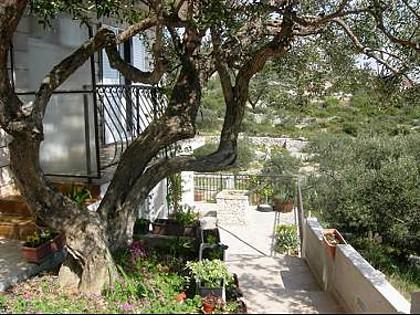 Barada Apartment