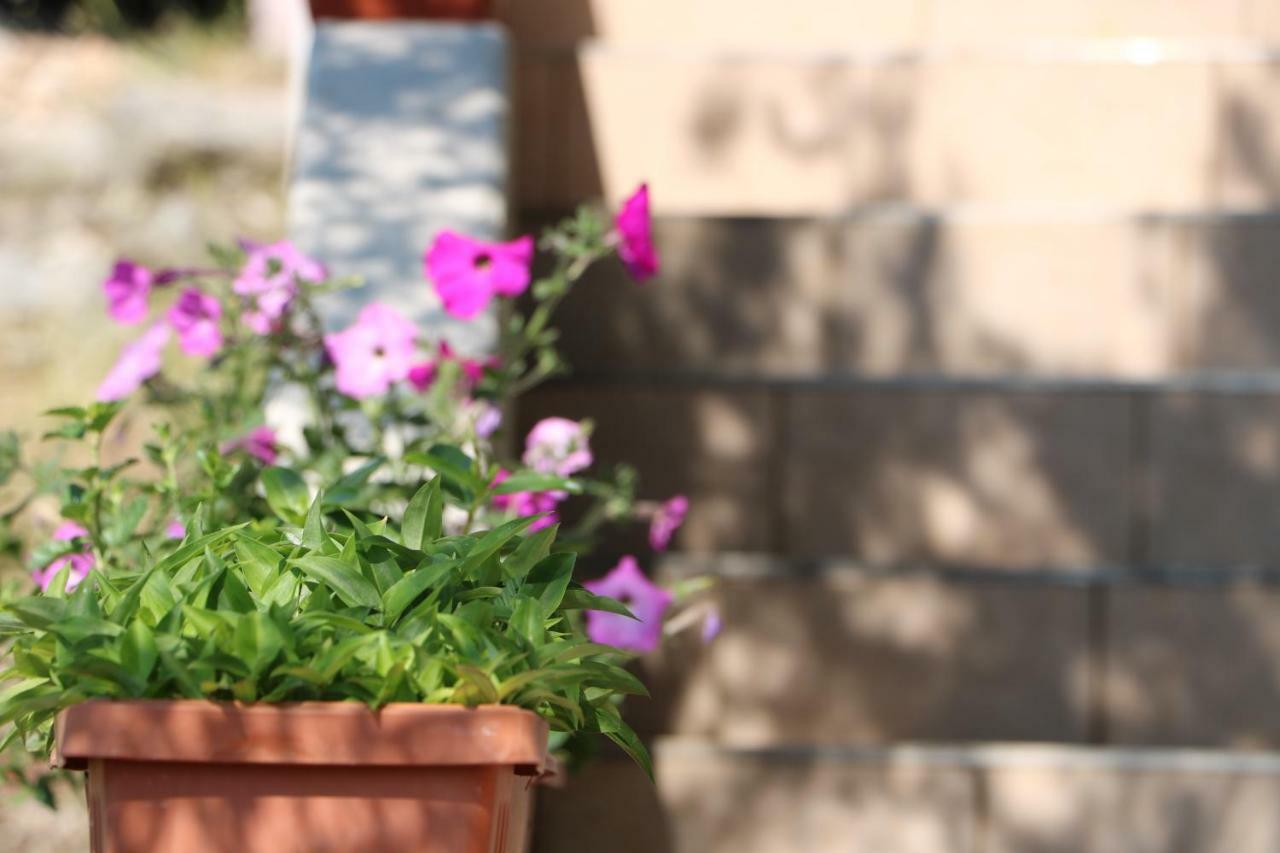 Barada Apartament Seget Vranjica